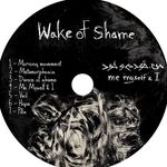 Wake Of Shame