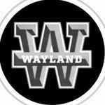 Wayland Baptist Athletics