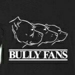 Bully Fans