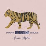 We Are Handsome Branding