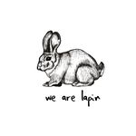 We are lapin