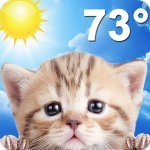 weatherkittyapp