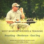 WestWind Retrievers & Training