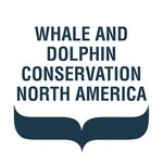 Whale and Dolphin Conservation