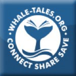 Whale Tales