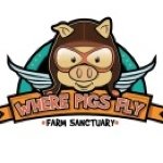 Where Pigs Fly Farm Sanctuary