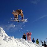 Whistler Ski Bums