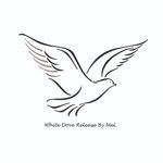 White Dove Release By Mel🕊