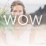 White Orchid Weddings & Events