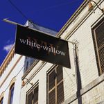 white•willow