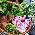 Foraging - Sophie&Connor 🍄🌿💚