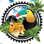 wildbelizeadventuresandtours