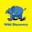 Wild Discovery