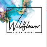 Wildflower Yellow Springs