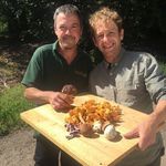 Wild Food UK