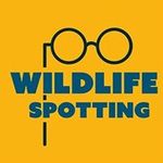 Wildlife Spotting