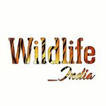 wildlife_india