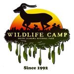 Wildlife Camp in South Luangwa