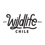 Wildlife Chile ®️