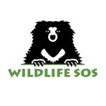 Wildlife SOS