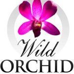 Wild orchid bikinis