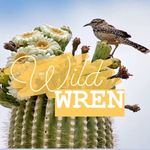 Wild Wren Originals