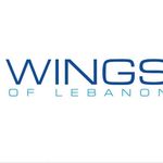 Wings Of Lebanon