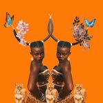 WIYAALA THE LIONESS🦁🌍🦁