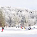 Wolf Ridge Ski Resort