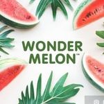 Wonder Melon Juices