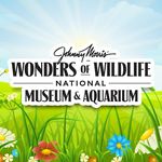 Wonders of Wildlife