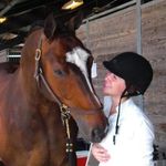 woodfield farms equestrian LLC