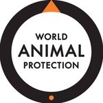 World Animal Protection