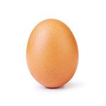 Egg Gang ๐ Egg Gang ๐