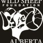 Wild Sheep Foundation Alberta