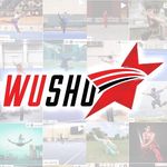 Wushu Stars 武术之星