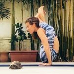 Yoga Raha with Alex