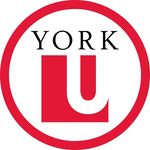 York University