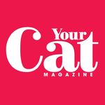 Your Cat Magazine