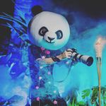 Zen Panda