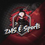 ＺＭＳㅤ Ｅ-ＳＰＯＲＴＳ  🔥⃤