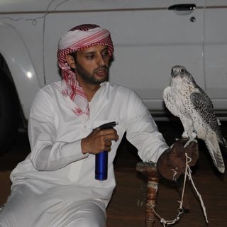 الشايب محمد ابن AL ITIHAD