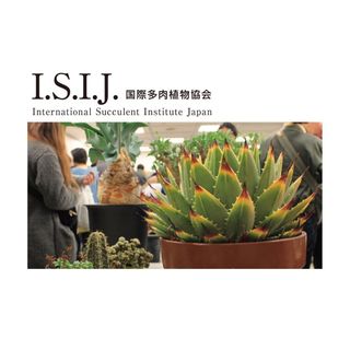 Email Address Of Isij Tokyo Instagram Influencer Profile Contact Isij Tokyo