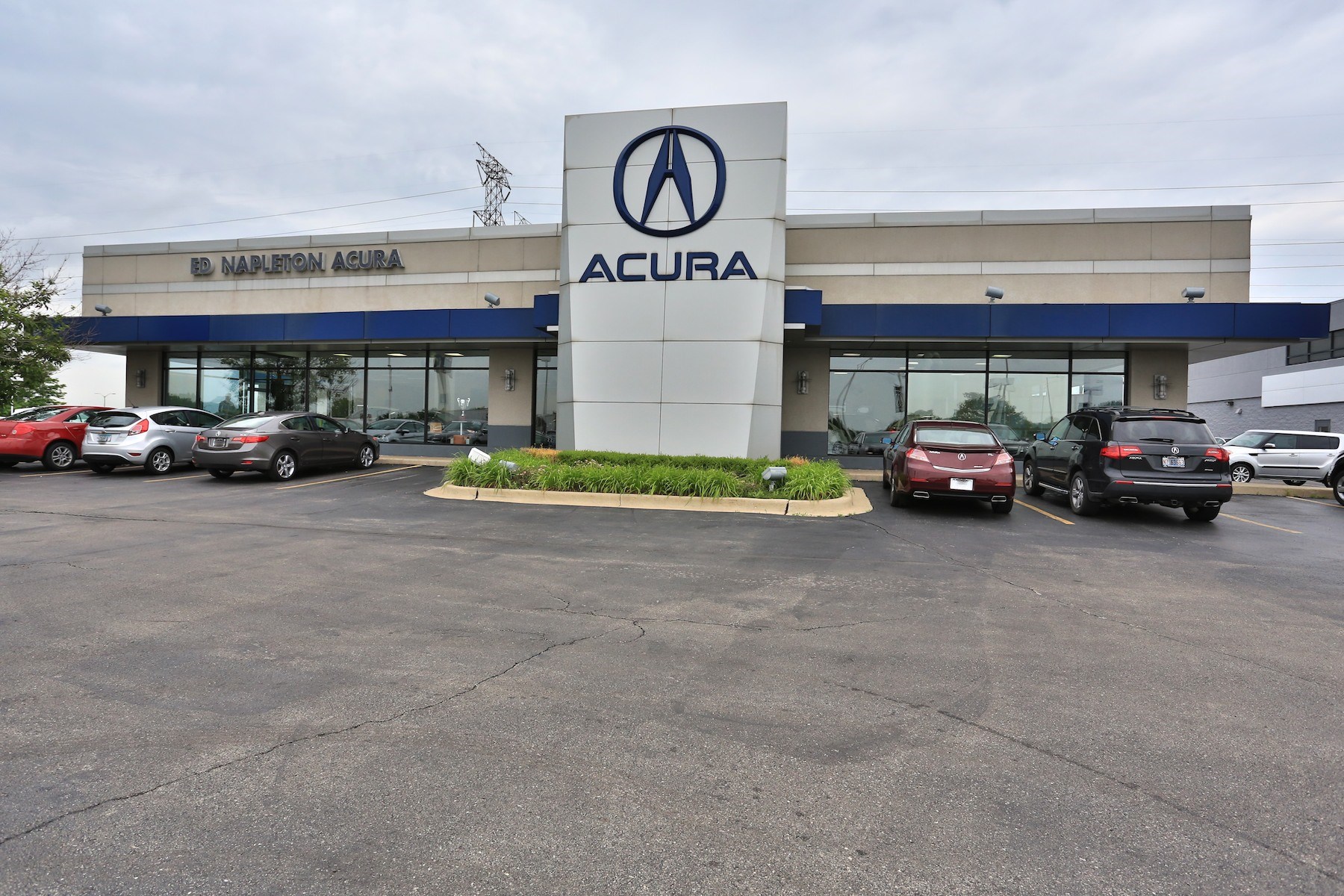 Ed Napleton Acura