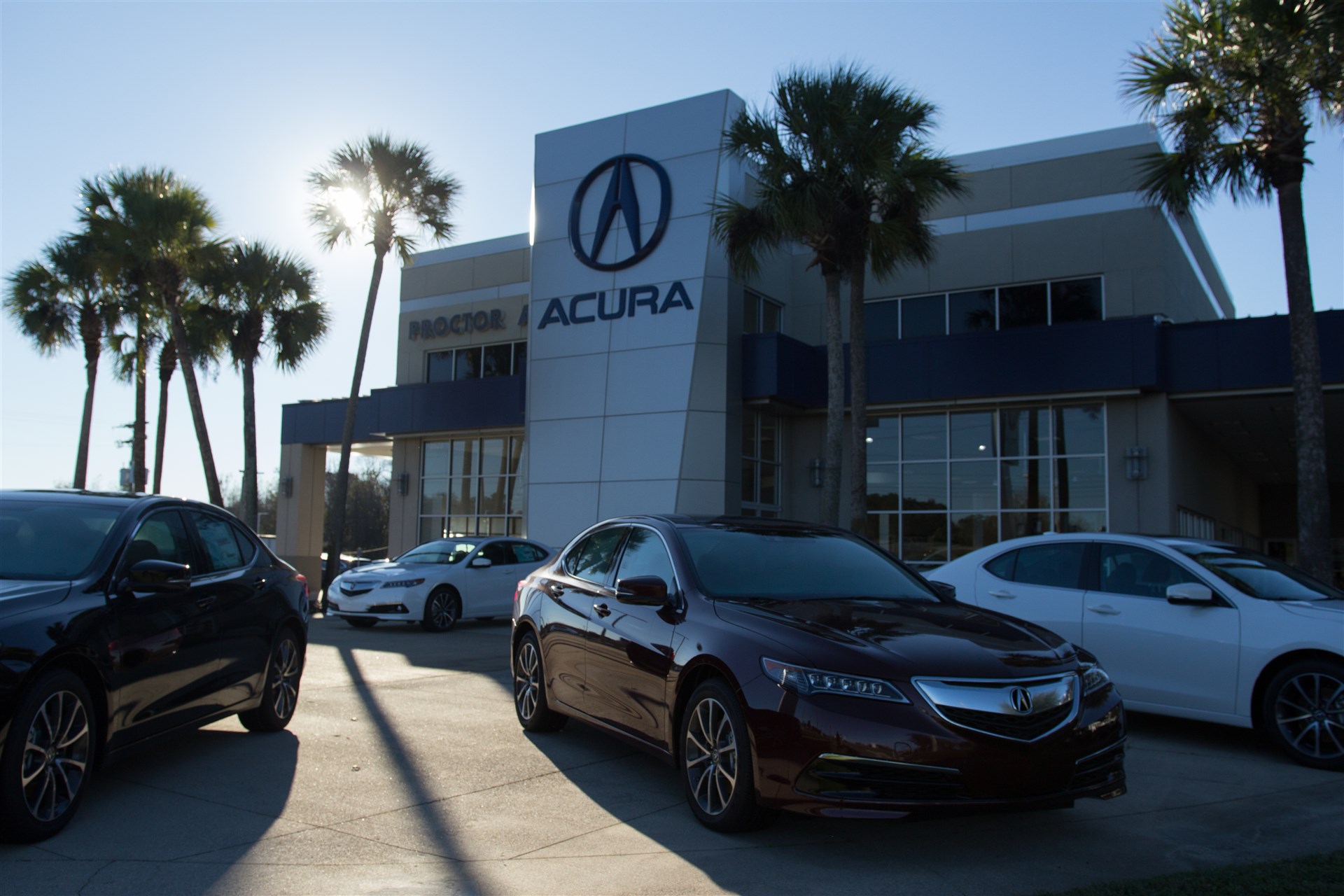 Proctor Acura