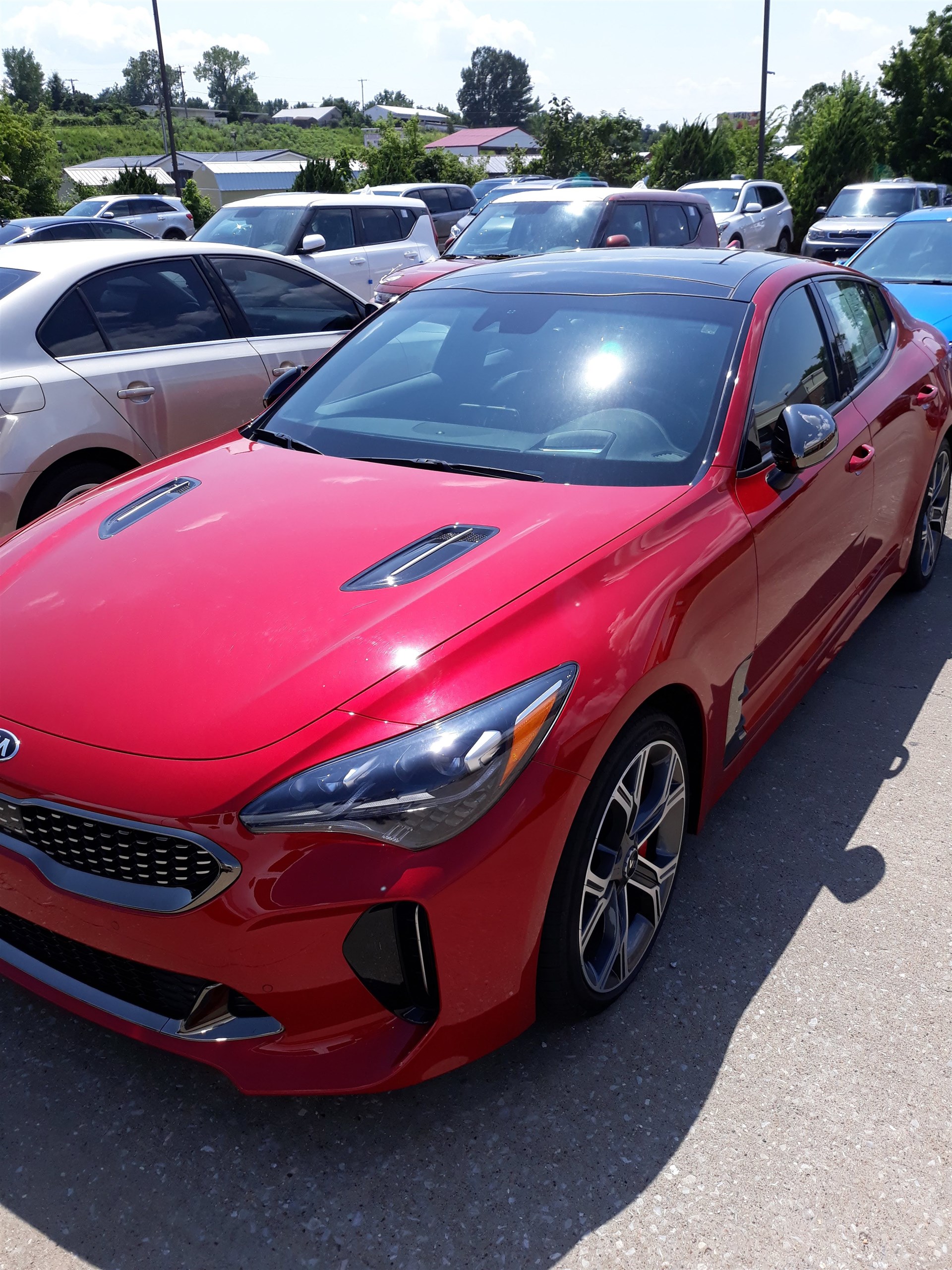 Auffenberg Kia Cape Girardeau