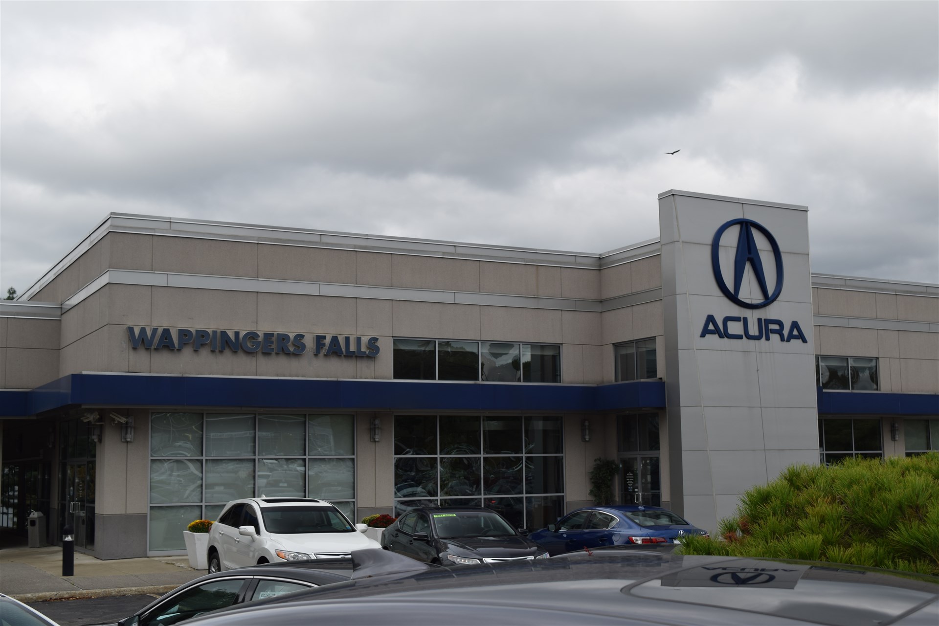 Acura of Wappingers Falls