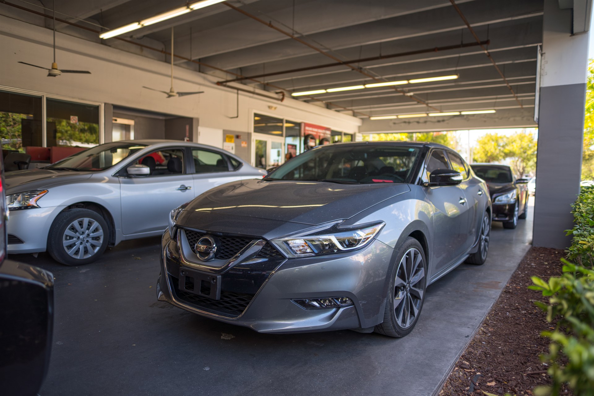 AutoNation Nissan Miami