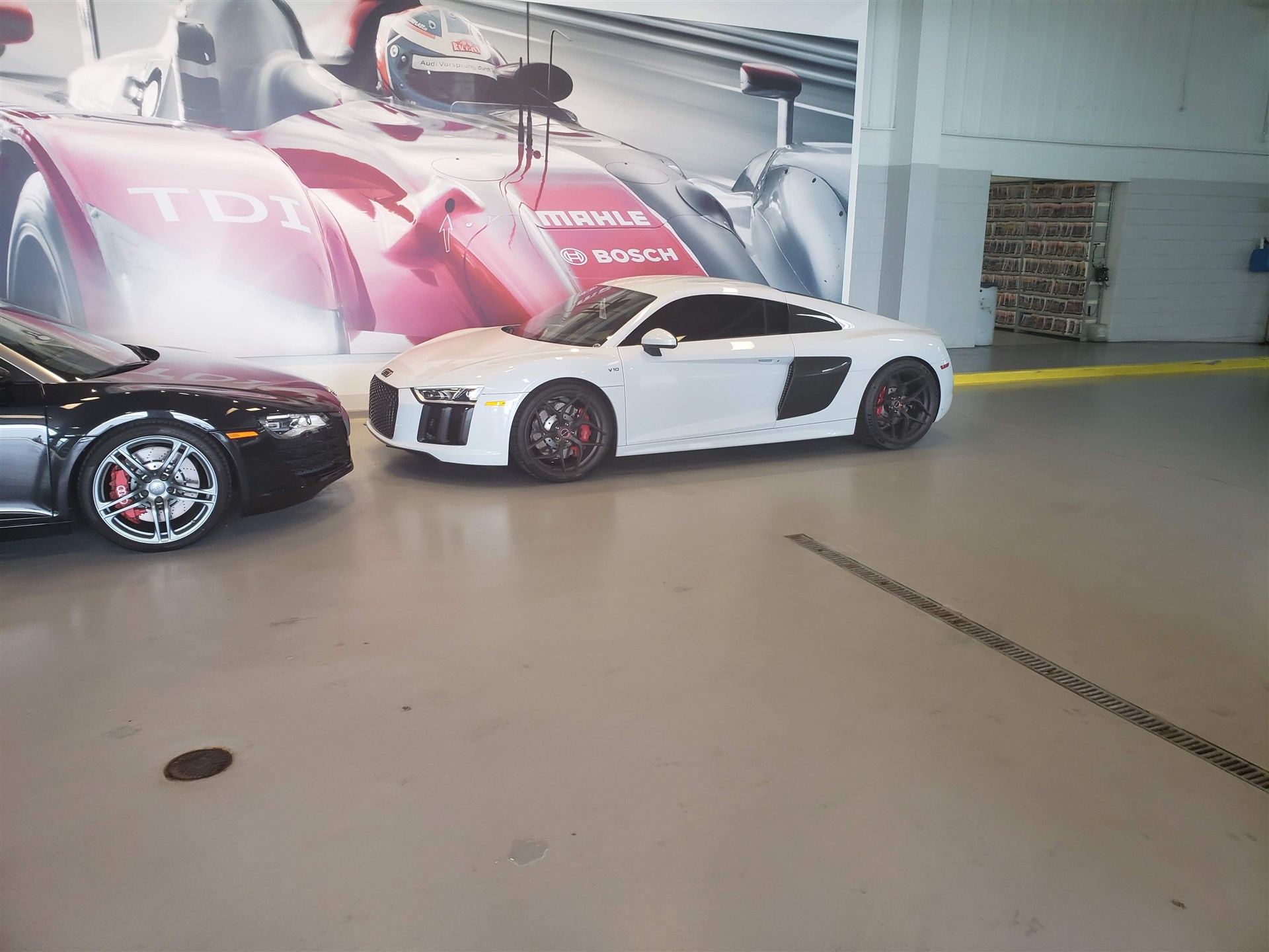 Audi Grand Rapids