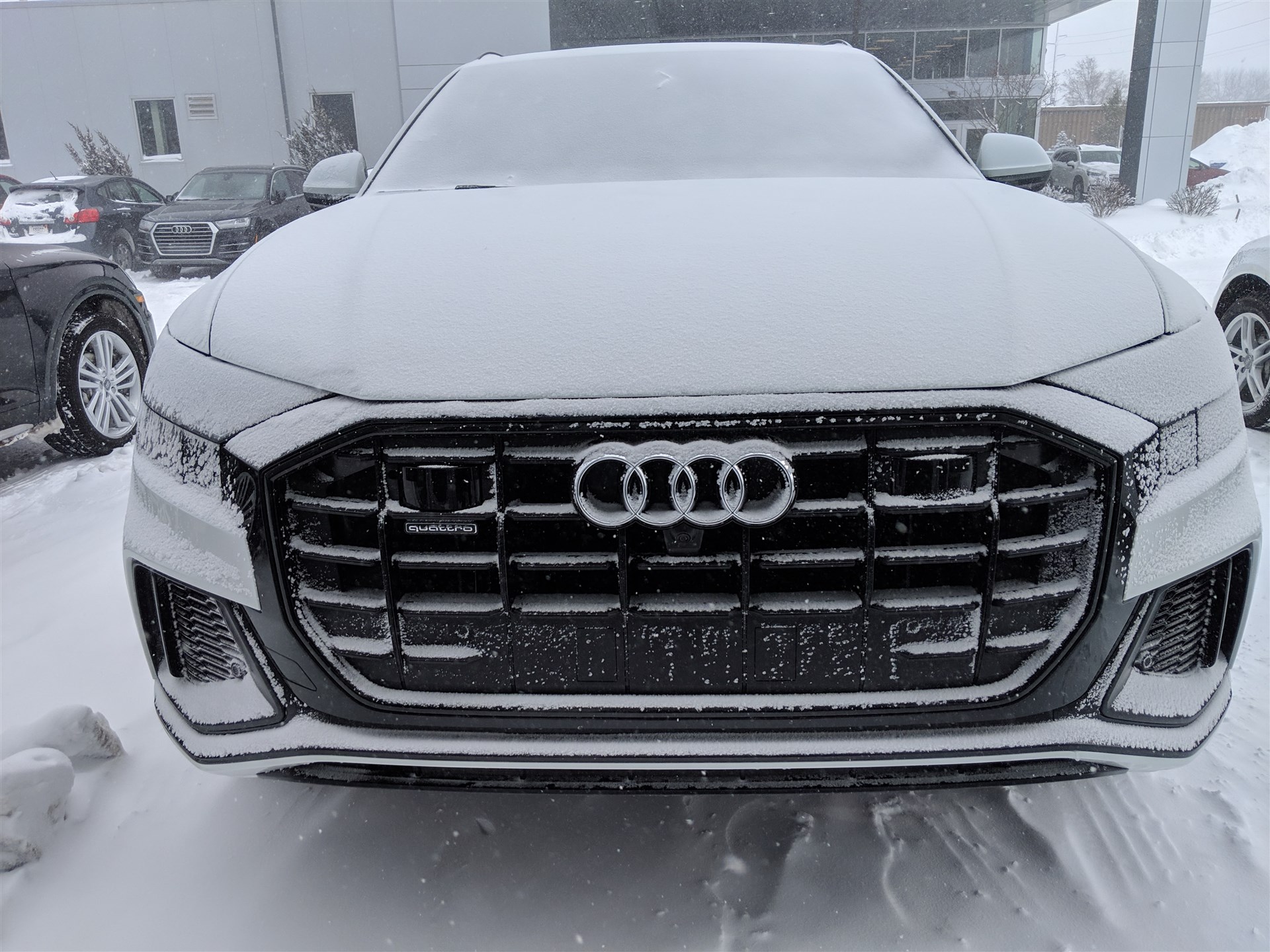 Audi Grand Rapids